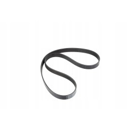 F934201040020 serpantino diržas, 8 pk x 1450 lp