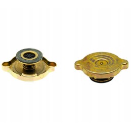 Deutz Fahr radiatoriaus dangtelis 04413650