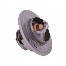 Termostatas 83913835 ford polmo 83913835p