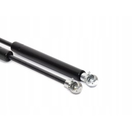 Dujinės spyruoklės pavara 325mm 280n durų korpusas df