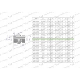 Hidraulinė jungtis bb xge m18x1 5 12l x 3 8