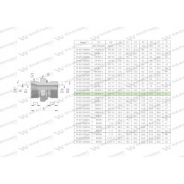 Hidraulinė jungtis bb xge m18x1 5 12l x 1 2