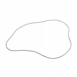 Žiedas oring massey ferguson 3010064x1 originalus