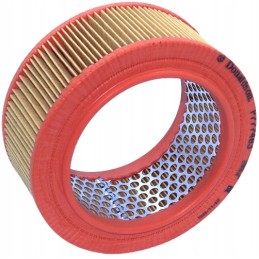 Donaldson oro filtras p777483
