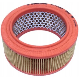 Donaldson oro filtras p777483