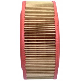 Donaldson oro filtras p777483