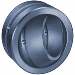 Ge 35 pavaros guolis pigus 30 47