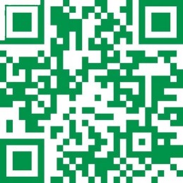 Rutulinis guolis paprastai 12x28x8mm ina fag 60012rs i