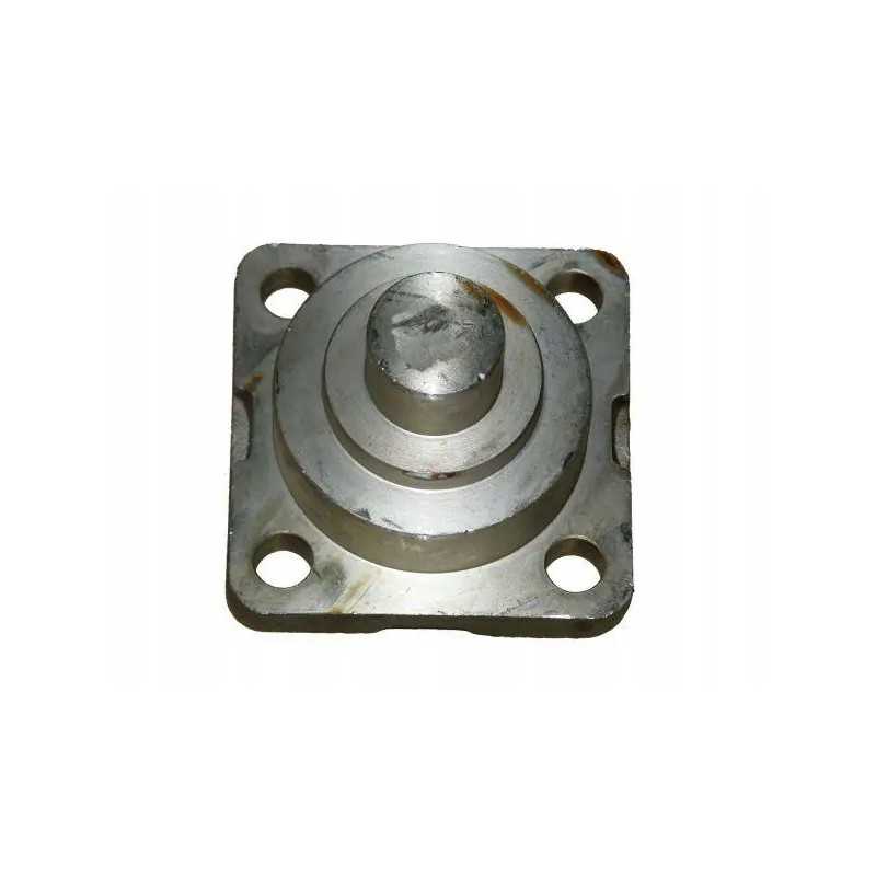 Apatinis ir viršutinis priekiniai kaiščiai 04415111 de