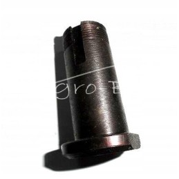 Zetor Lenkijos svirties kaištis