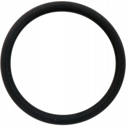 Oring 54mm 71806172 x548933866000 granitas