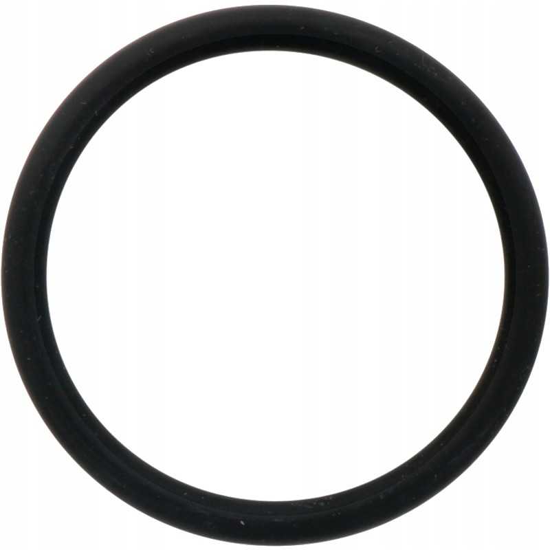 Oring 54mm 71806172 x548933866000 granitas