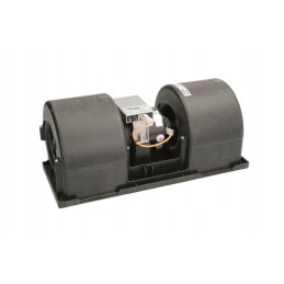 Orapūtė sudegino 10eo0695 spl