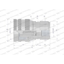 Hidraulinė greitoji jungtis g3 4 bsp 250bar