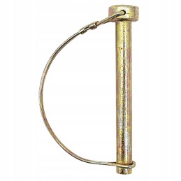 Vamzdžio kaištis 10 mm 20023333