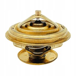 Zetor termostatas 80005902 89005904