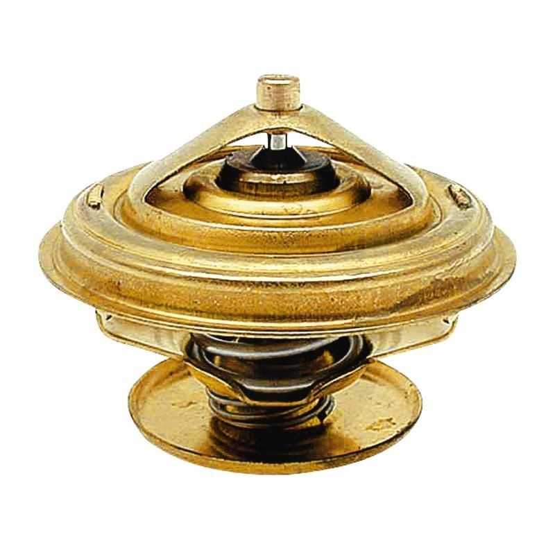 Zetor termostatas 80005902 89005904