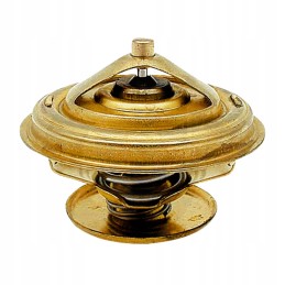 Zetor termostatas 80005902 89005904