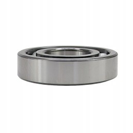 Guolis 6312 flt