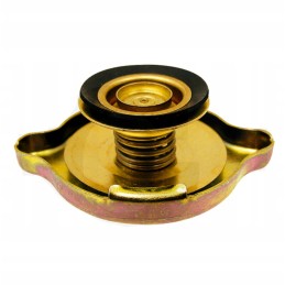 Radiatoriaus gaubtelio korpusas 162000530701 47107906