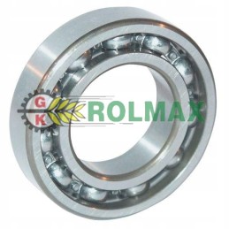 Rutulinis guolis c3 ina fag 6202c3