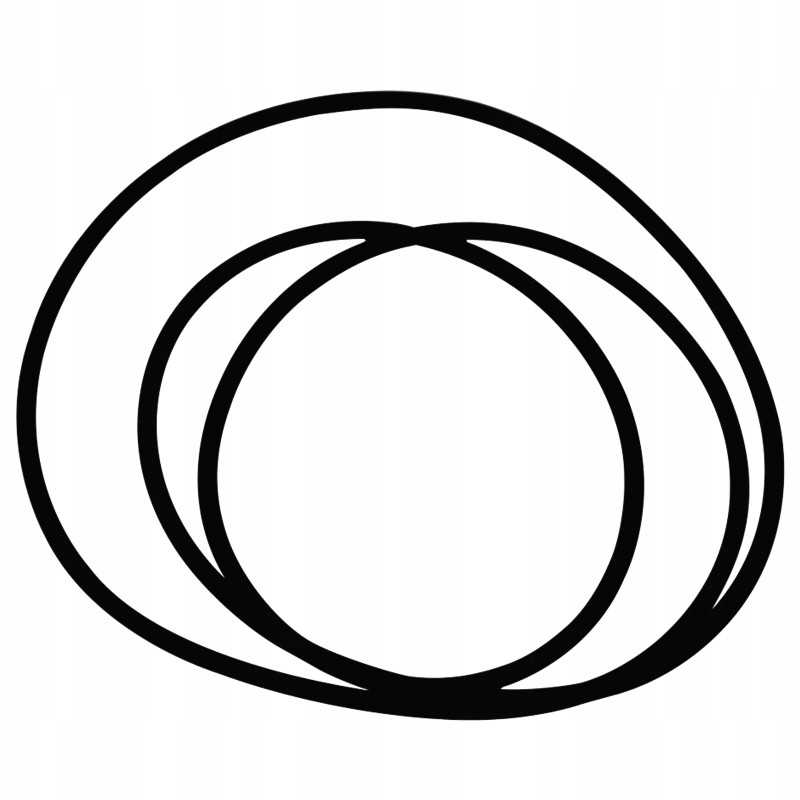 Oring fi 291 69 x 3 53 mm 70815356