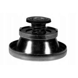 Radiatoriaus dangtelis