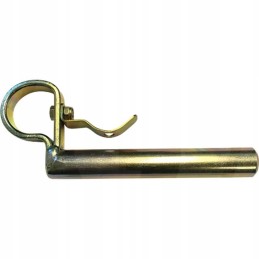 Apsauginis kaištis 3137228r2