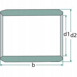 Paprastasis guolis 805bmz2030b
