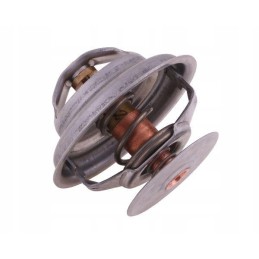 Termostatas 162000060702 korpusas polmo 162000060702p