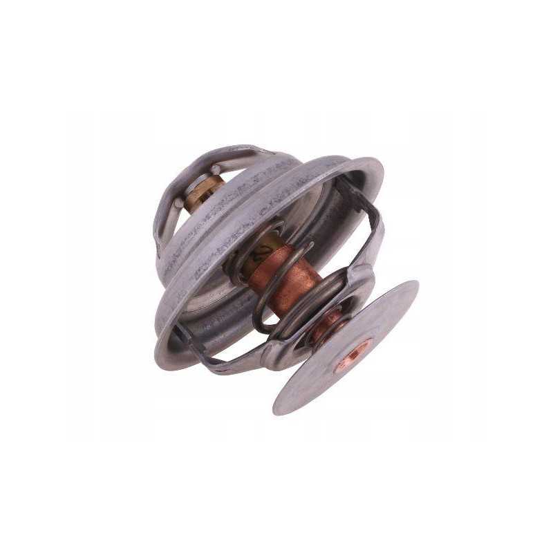 Termostatas 162000060702 korpusas polmo 162000060702p