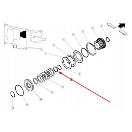 6005031643 pavaros žiedas