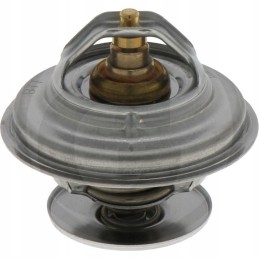 Termostatas deutz lamborghini tas pats 04224847 0451806