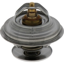 Termostatas deutz lamborghini tas pats 04224847 0451806