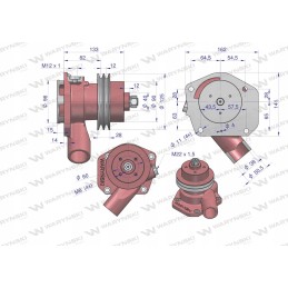 Žemo vandens siurblys su dviem diržais, skirtas C 385 Warynski