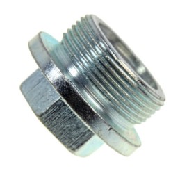 Alyvos keptuvės kamštis c 360 m30x1 5