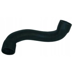 Radiatoriaus žarnos