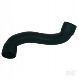 Radiatoriaus žarnos