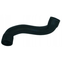 Radiatoriaus žarnos