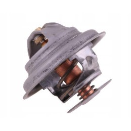 Termostatas 4224639m1 landini polmo 4224639m1p