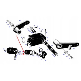 F180860030121 galinės pakabos spyruoklė