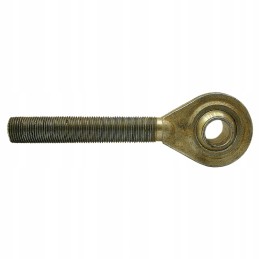 Srieginis kotas su granito galvute