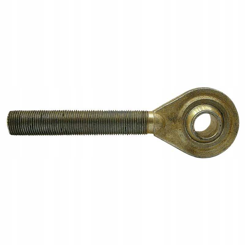 Srieginis kotas su granito galvute