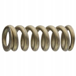 Kapoto užrakto spyruoklė 12100090080 Fendt