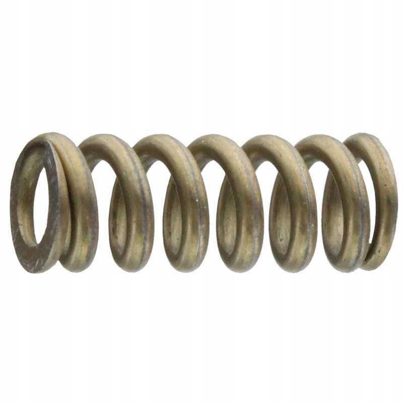 Kapoto užrakto spyruoklė 12100090080 Fendt