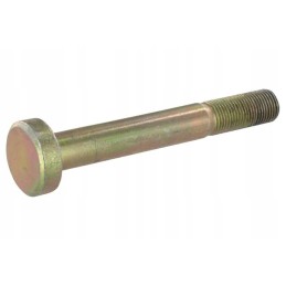 L33894n rato ratlankio varžtas m16x120