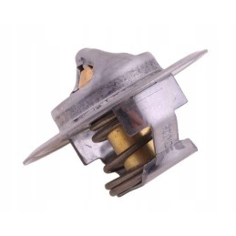 Termostatas 83916917 ford polmo 83916917p
