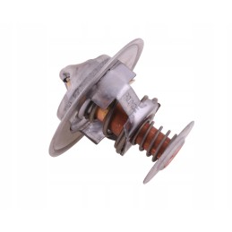 Termostatas 218039a1 korpusas polmo 218039a1p