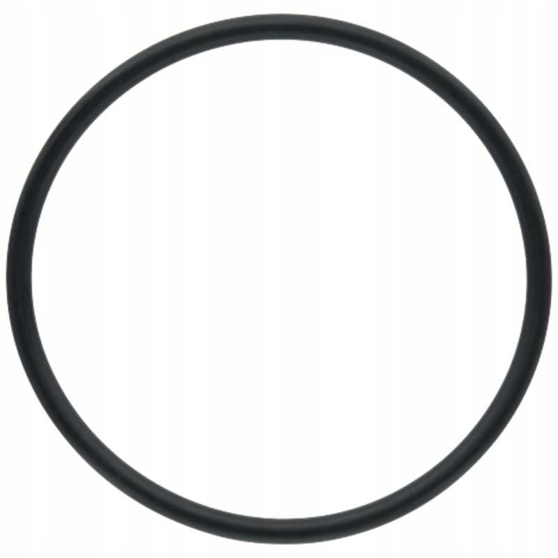 Duotas diferencialo stūmoklio sandarinimo žiedas