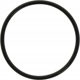 Diferencialo stūmoklio O žiedas 3019927x1